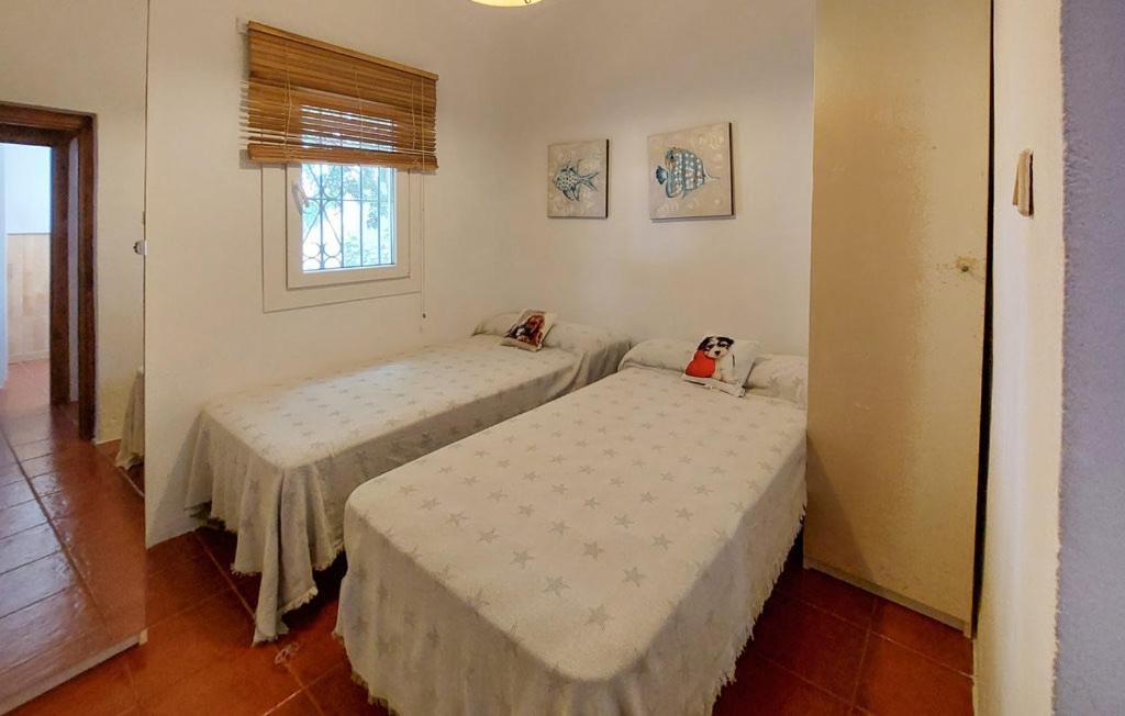Hébergement de vacances La Marciana - Piscina Pista Tenis Futbol Y Baloncesto Privado - Externo Independiente Chiclana de la Frontera